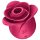 Satisfyer Pro 2 Розов - въздушен клиторен стимулатор (червен)