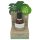Coconutoil - Био масло за бръснене и след епилация (50ml)