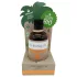 Coconutoil - био олио за тен - 80 мл