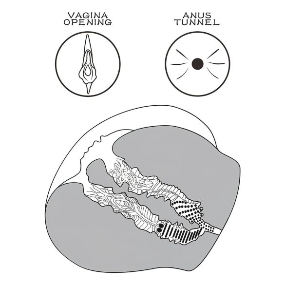 Lovetoy - изкуствена вагина торс с прашки - тъмен натурален цвят